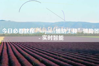 今日必看教程“wepoker辅助工具”辅助器 - 实时智能