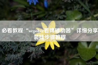 必看教程“wepoker看牌辅助器	”详细分享装挂步骤教程