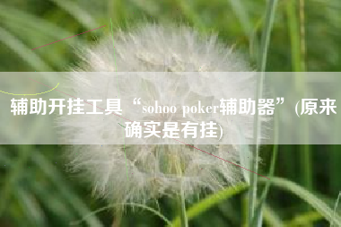 辅助开挂工具“sohoo poker辅助器”(原来确实是有挂)