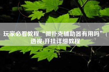 玩家必看教程“微扑克辅助器有用吗	”(透视)开挂详细教程
