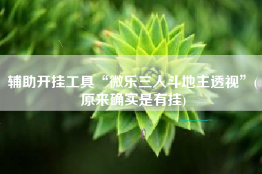 辅助开挂工具“微乐三人斗地主透视”(原来确实是有挂)