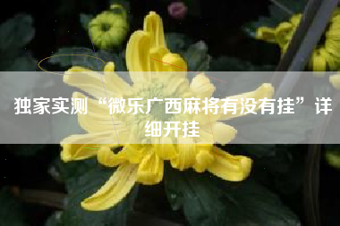 独家实测“微乐广西麻将有没有挂”详细开挂