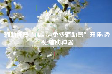 辅助神器“hhpoker免费辅助器”开挂(透视)辅助神器