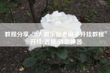 教程分享“2人微乐捉老麻子开挂教程”开挂(透视)辅助神器