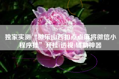 独家实测“微乐山西扣点点麻将微信小程序挂	”开挂(透视)辅助神器