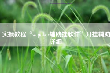 实操教程“wepoker辅助挂软件”开挂辅助详细