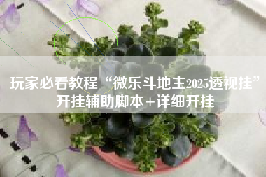 玩家必看教程“微乐斗地主2025透视挂	”开挂辅助脚本+详细开挂