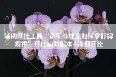 辅助开挂工具“微乐斗地主如何拿好牌规律”开挂辅助脚本+详细开挂