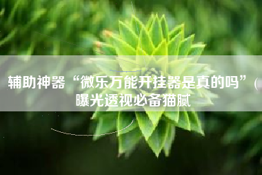 辅助神器“微乐万能开挂器是真的吗”(曝光透视必备猫腻