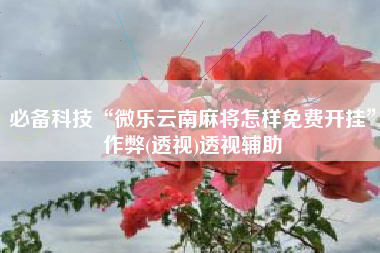 必备科技“微乐云南麻将怎样免费开挂”作弊(透视)透视辅助