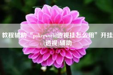 教程辅助“pokerworld透视挂怎么用”开挂(透视)辅助