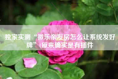 独家实测“微乐亲友房怎么让系统发好牌”(原来确实是有插件