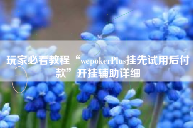 玩家必看教程“wepokerPlus挂先试用后付款	”开挂辅助详细