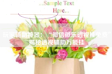 玩家辅助神器：“微信微乐透视挂免费”揭秘透视辅助万能挂