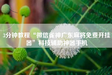 3分钟教程“微信雀神广东麻将免费开挂器	”科技辅助神器手机