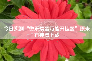 今日实测“微乐掼蛋万能开挂器”原来有神器下载