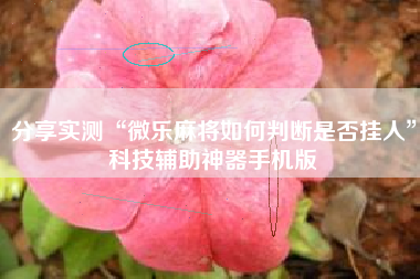 分享实测“微乐麻将如何判断是否挂人”科技辅助神器手机版