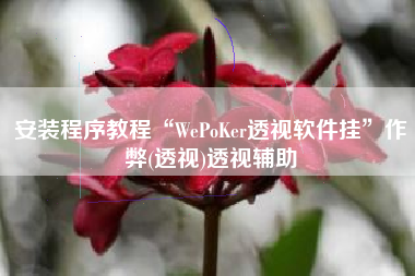 安装程序教程“WePoKer透视软件挂”作弊(透视)透视辅助