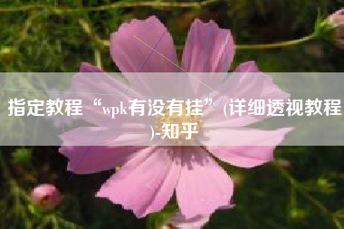 指定教程“wpk有没有挂	”(详细透视教程)-知乎