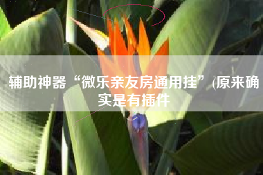 辅助神器“微乐亲友房通用挂”(原来确实是有插件