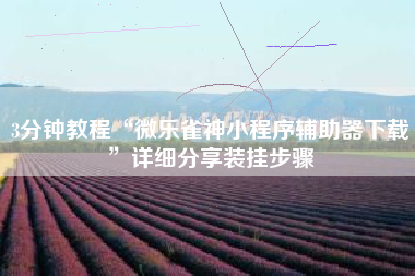 3分钟教程“微乐雀神小程序辅助器下载”详细分享装挂步骤