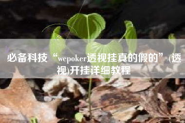 必备科技“wepoker透视挂真的假的	”(透视)开挂详细教程