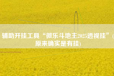 辅助开挂工具“微乐斗地主2025透视挂”(原来确实是有挂)