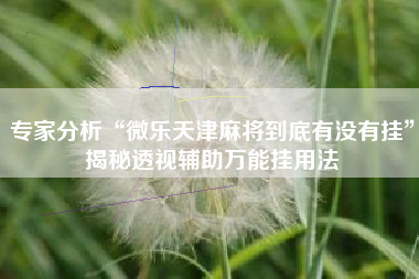 专家分析“微乐天津麻将到底有没有挂	”揭秘透视辅助万能挂用法