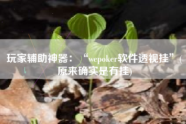 玩家辅助神器：“wepoker软件透视挂”(原来确实是有挂)
