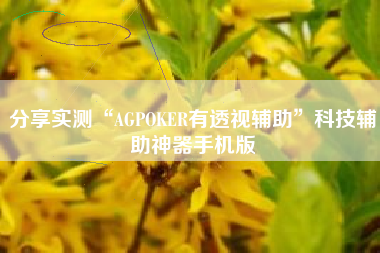分享实测“AGPOKER有透视辅助”科技辅助神器手机版