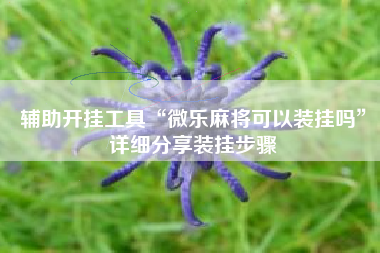 辅助开挂工具“微乐麻将可以装挂吗”详细分享装挂步骤