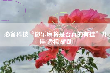 必备科技“微乐麻将是否真的有挂”开挂(透视)辅助