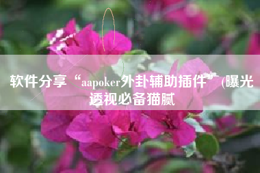 软件分享“aapoker外卦辅助插件”(曝光透视必备猫腻
