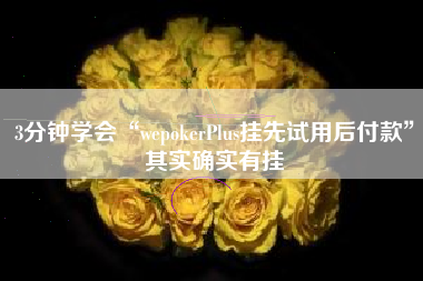 3分钟学会“wepokerPlus挂先试用后付款	”其实确实有挂