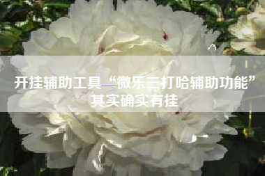 开挂辅助工具“微乐三打哈辅助功能”其实确实有挂