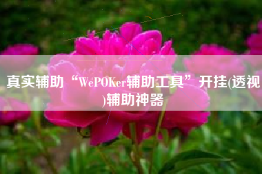 真实辅助“WePOKer辅助工具”开挂(透视)辅助神器