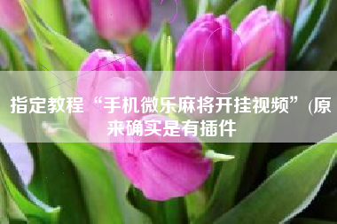 指定教程“手机微乐麻将开挂视频”(原来确实是有插件