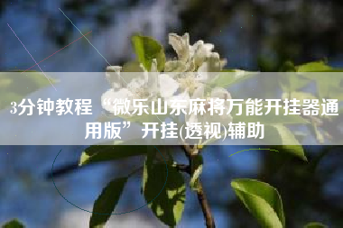 3分钟教程“微乐山东麻将万能开挂器通用版”开挂(透视)辅助