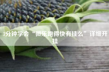 3分钟学会“微乐跑得快有挂么”详细开挂