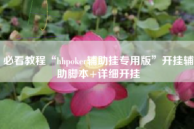 必看教程“hhpoker辅助挂专用版	”开挂辅助脚本+详细开挂