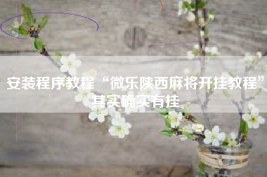 安装程序教程“微乐陕西麻将开挂教程	”其实确实有挂