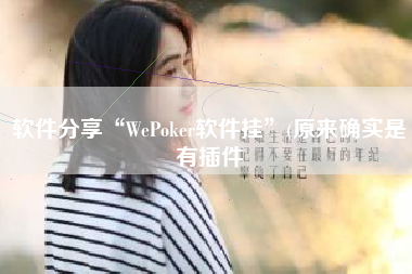 软件分享“WePoker软件挂	”(原来确实是有插件