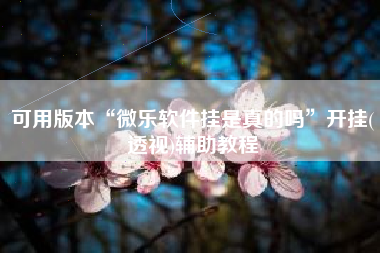 可用版本“微乐软件挂是真的吗”开挂(透视)辅助教程