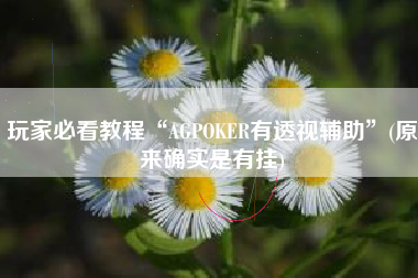 玩家必看教程“AGPOKER有透视辅助”(原来确实是有挂)