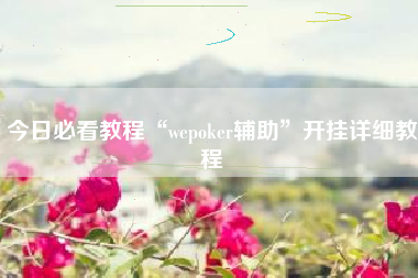 今日必看教程“wepoker辅助	”开挂详细教程