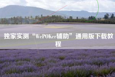 独家实测“WePOKer辅助”通用版下载教程