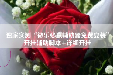 独家实测“微乐必赢辅助器免费安装	”开挂辅助脚本+详细开挂