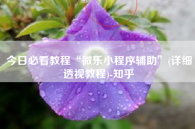 今日必看教程“微乐小程序辅助”(详细透视教程)-知乎