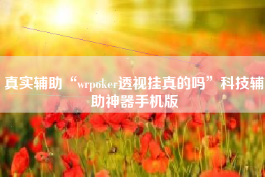 真实辅助“wrpoker透视挂真的吗”科技辅助神器手机版