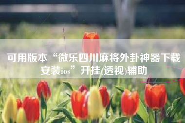 可用版本“微乐四川麻将外卦神器下载安装ios	”开挂(透视)辅助